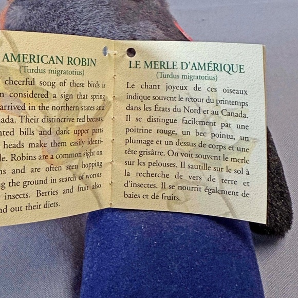 SINGING BIRD, PLAYS REAL BIRD CALLS, AMERICAN ROBIN, 6 L x 4 ½ W x 4 ¾ H INCH - Picture 10 of 16